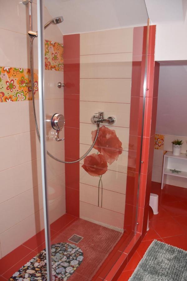 Janine Garden Hotel Brasov Exterior photo